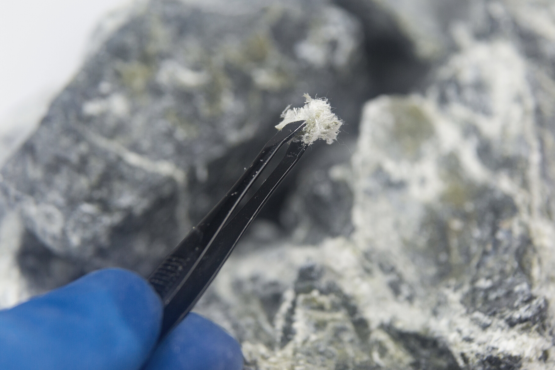 Chrysotile asbestos fiber close up.
